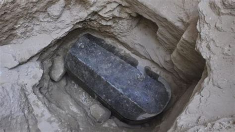 The sinister curse of the cursed sarcophagus